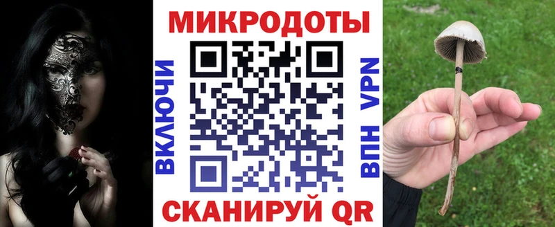 Псилоцибиновые грибы GOLDEN TEACHER Купить Дмитриев