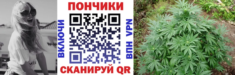 Шишки марихуана марихуана Дмитриев
